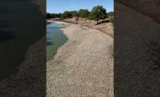 Milioni di pesci morti in un fiume in Australia. Ecco il perch&eacute; - Video