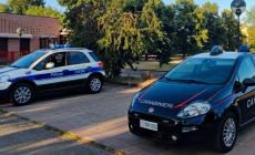 Controlli a Colorno e Torrile: multe per 5mila euro 