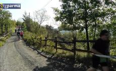 A Langhirano si cammina in compagnia nella natura - Video