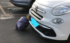 Sacchi della spazzatura abbandonati e ora un carrello della spesa abbandonato nel parco di largo Carli: scene di ordinario degrado in via Sidoli