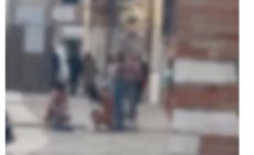 Slip e topless: l'incredibile (e vietato) bagno nel cuore di Venezia di un gruppo di ragazzi - Video