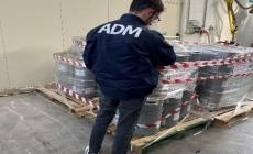 Parma: bloccati alla dogana prodotti chimici pericolosi  provenienti dagli Usa
