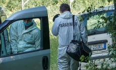 Runner di 26 anni  morto in Trentino, forse ucciso da un animale. Gli abitanti della zona: "E' stato l'orso"