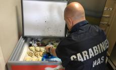 Scarafaggi in cucina, sporco vetusto e altre irregolarit&agrave;: i Nas sospendono l'attivit&agrave; di un "Kebap"