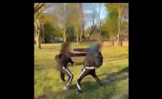 Due ragazzi fanno a pugni in un parco, gli altri li incitano e filmano: il video finisce sui social 