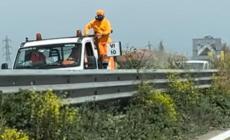 Tangenziale sud: operai al lavoro sul verde a bordo strada. E  tornano le asfaltature fra via Emilia e Campus 