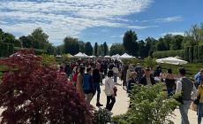 Nel segno del giglio