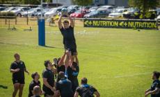 Zebre Parma, rinnovano i mediani inglesi Tiff Eden e Chris Cook