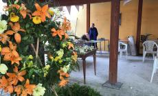 "Tutti i fiori che hanno colorato l'arrivederci a Nico, oggi lui li dona a noi"