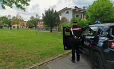 San Polo d'Enza : cane 'troppo vivace', lui minaccia la proprietaria col coltello 
