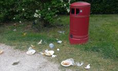 Inciviltà al parco Bizzozero: rifiuti in terra anche se il cestino è vuoto