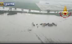 Rientrata allerta meteo nel Parmense