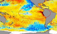 Arriva El Nino il mondo si prepari a temperature record - Video 
