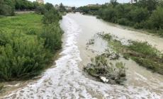 Cosa &egrave; tutta quella schiuma bianca nel Baganza: inquinamento? - Foto