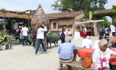 Polesine, successo per "Centomani di questa terra" alla Corte Pallavicina