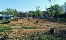 Il Frutteto della Memoria a Monticelli Terme