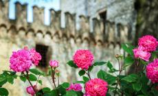 Visita guidata e aperitivo al Castello di Tabiano 