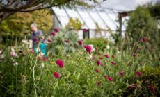 Giardini Aperti: sabato 17 maggio visite alla Davines 