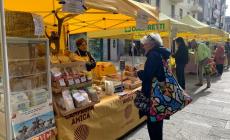  Campagna amica presente in via Cavour il 19 maggio in occasione della manifestazione “Francigena Fidenza Festival”