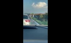 Trecasali, due auto finiscono fuori strada