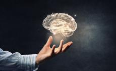Scoperta l'area del cervello responsabile della disonestà
