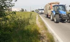 «Vogliamo la ciclabile» da Monticelli a Pilastrello: partita la raccolta di firme