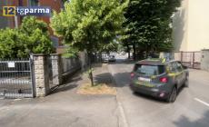 "Aspromonte emiliano", dalla Colombia all’Emilia-Romagna, con la collaborazione di criminali cinesi- Video 