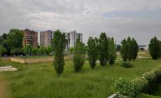 Vegetazione selvaggia in largo Guido Carli,  parco impraticabile e giochi inaccessibili - Foto