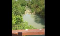 Soragna, accumulo di materiale nel torrente Stirone