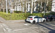 Un albero cade in strada: paura nella notte in via Passo di Badignana