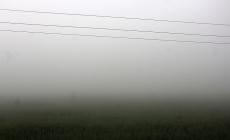 Bassa avvolta nella nebbia... di giugno 