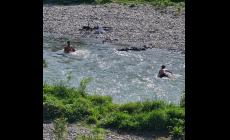 Dopo giorni di pioggia un timido sole: un bagno nella Parma sotto ponte Verdi - Foto