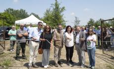1.350 piante a Viarolo per rinforzare l’ecosistema: nasce un nuovo bosco