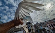 Una mostra su Cuba: le foto di Ermanno Foroni all'Ottagono di Bibbiano 