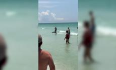 Orso in mare: esce dall'acqua e corre tra la folla di bagnanti - Video