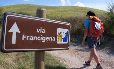 Da Fornovo a Felegara, «Cammina insieme con… noi»