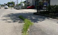 L'opposizione: "Piste ciclabili in cattivo stato" 