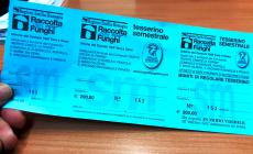 Moltissimi funghi, zero tesserini: se li raccogli possono multarti