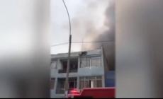 Senzatetto salva cani randagi da un palazzo in fiamme - Video