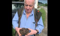 Il cane Pepe trova  un tartufo da oltre un chilo