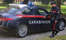 Lite per un agnello a Poviglio: anziano tenta di colpire una famiglia con una ruspa, poi volano pugni e bastonate