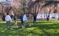 Gli studenti del Bodoni riqualificano un'area verde in via Leporati