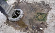 Lotta alle zanzare: tutti i consigli per difendersi dalla «tigre»