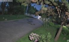 L'allegra gita notturna di una famigliola di cinghiali nel giardino di una casa a Baganzolino- Video 