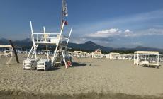 Marina di Pietrasanta: Niente cani in acqua dalle 9 alle 19. Il sindaco: "Devo tutelare la vivibilità della spiaggia"
