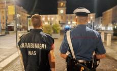 Igiene, orari di chiusura, norme amministrative: Nas, oltre 3mila euro di multe nella zona della "movida" - Video