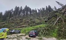 Tromba d'aria in Veneto: paura e danni, più di 100 interventi dei vigili del fuoco. In salvo una coppia di escursionisti - Foto 
