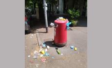 Rifiuti in via Cassio Parmense, la segnalazione di una lettrice: "Quando passano a vuotare il cestino...?" 