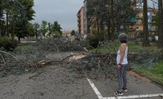 Il fiume Seveso oltre il livello di guardia, a Seregno un fiume di ghiaccio e acqua in centro - Foto