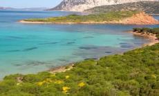 Le vacanze dei parmigiani? Isole del Mediterraneo, ma anche viaggi extraeuropei con Stati Uniti e Giappone